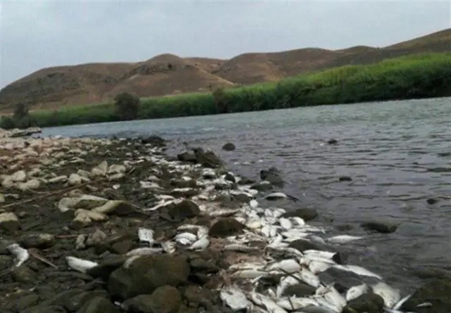ارس