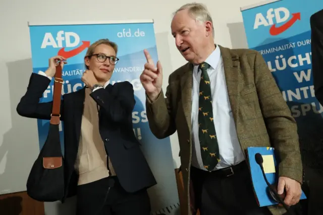 AfD liderleri Alice Weidel and Alexander Gauland