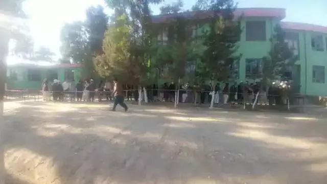Elections