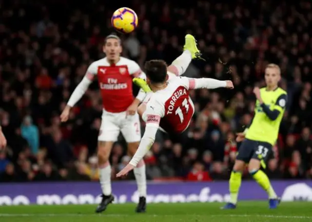 Torreira