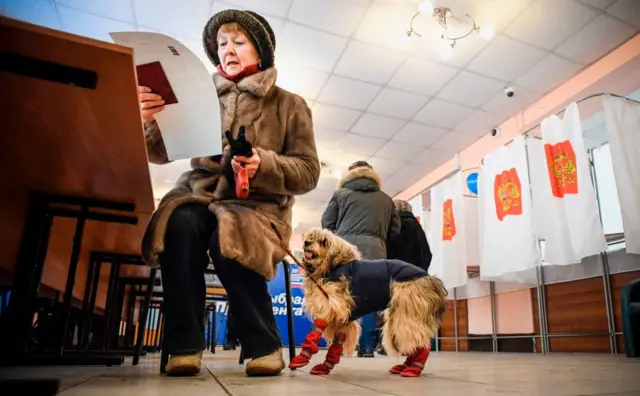 выборы