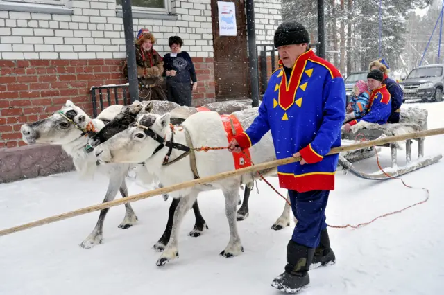 выборы