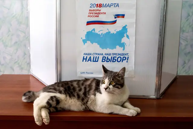 Выборы
