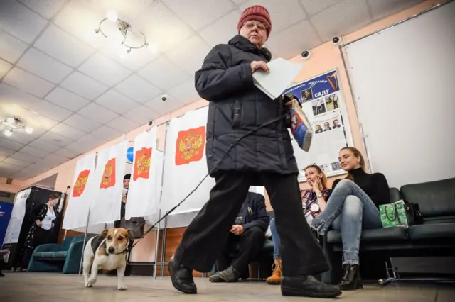 выборы