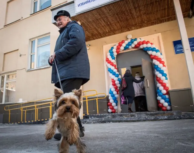 выборы