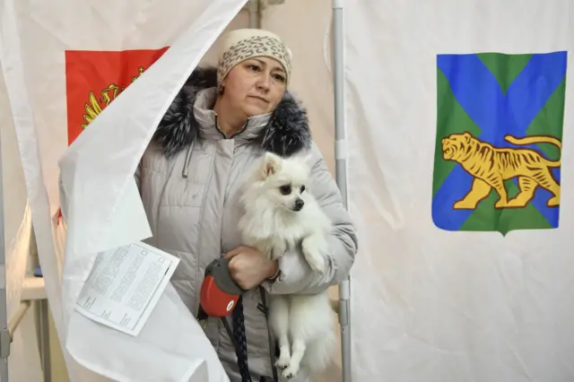 выборы