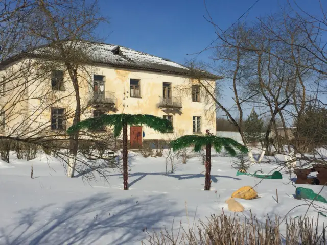 выборы