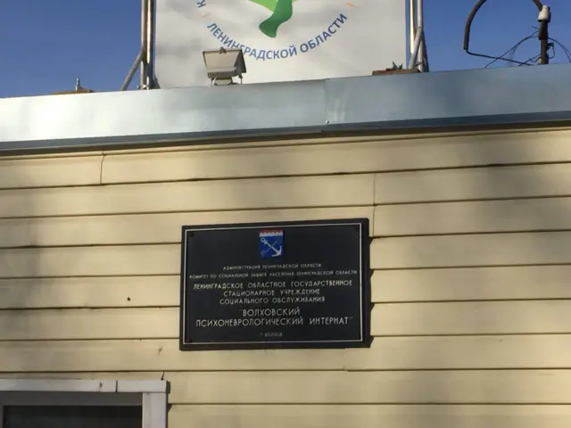 выборы