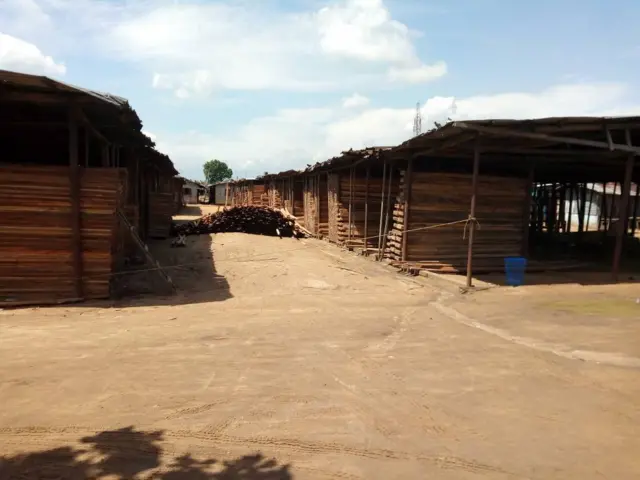 Timba shed dị na Port Harcourt