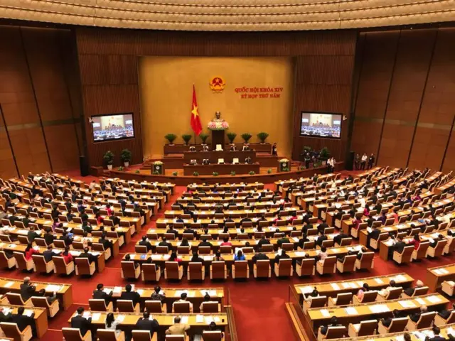 Biểu tình, Việt Nam