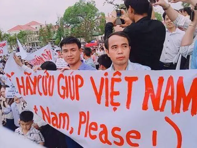 Vietnam, bieu tinh
