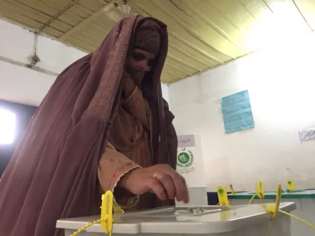 vote
