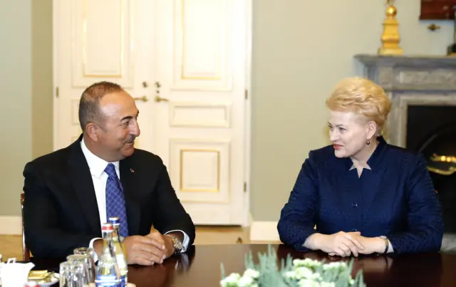 Dışişleri Bakanı Mevlüt Çavuşoğlu ve Litvanya Devlet Başkanı Dalia Grybauskaite