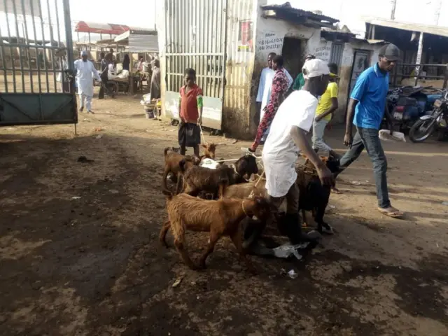 Aworan karakata nilu Kano