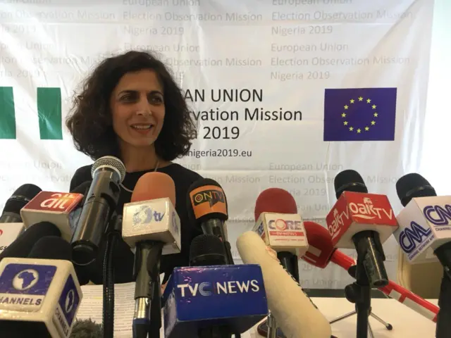 EU observers