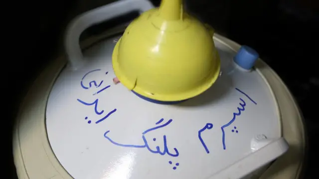 پلنگ ایرانی