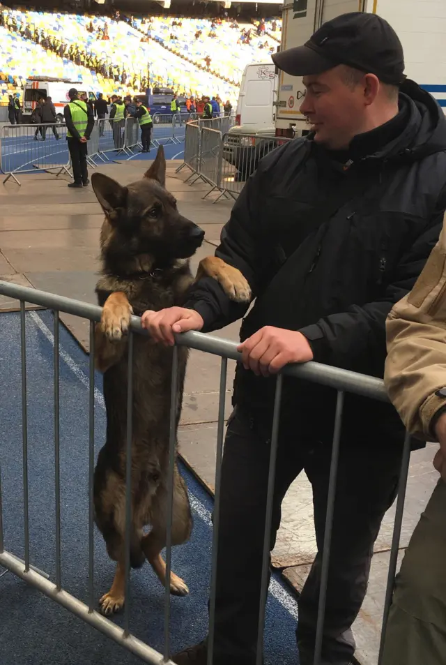 Собака на Олімпійському