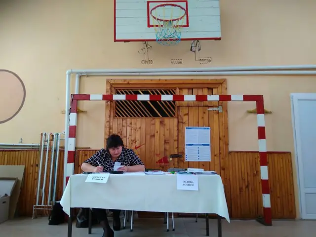 вибори
