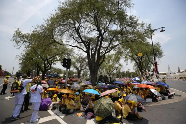 ริ้วขบวนพระบรมราชอิสริยยศ พยุหยาตราทางสถลมารค