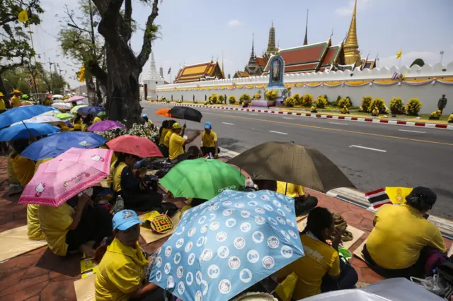 ริ้วขบวนพระบรมราชอิสริยยศ พยุหยาตราทางสถลมารค