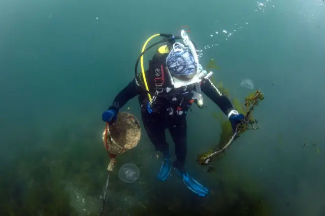 Sıfır Atık Mavi Projesi