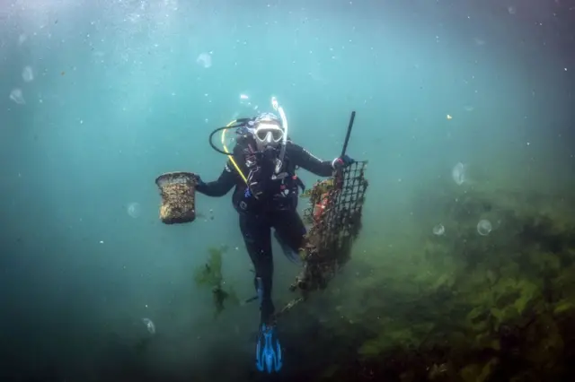 Sıfır Atık Mavi Projesi