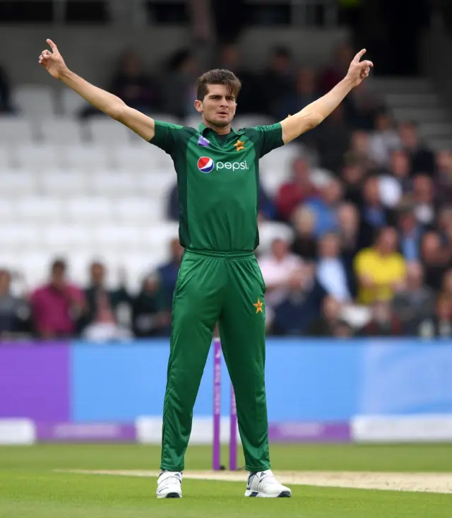 shaheen afridi