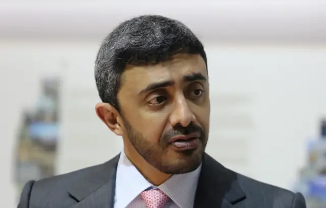 وزير الخارجية الإماراتي عبد الله بن زايد آل نهيان