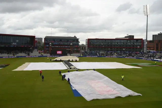 cricket