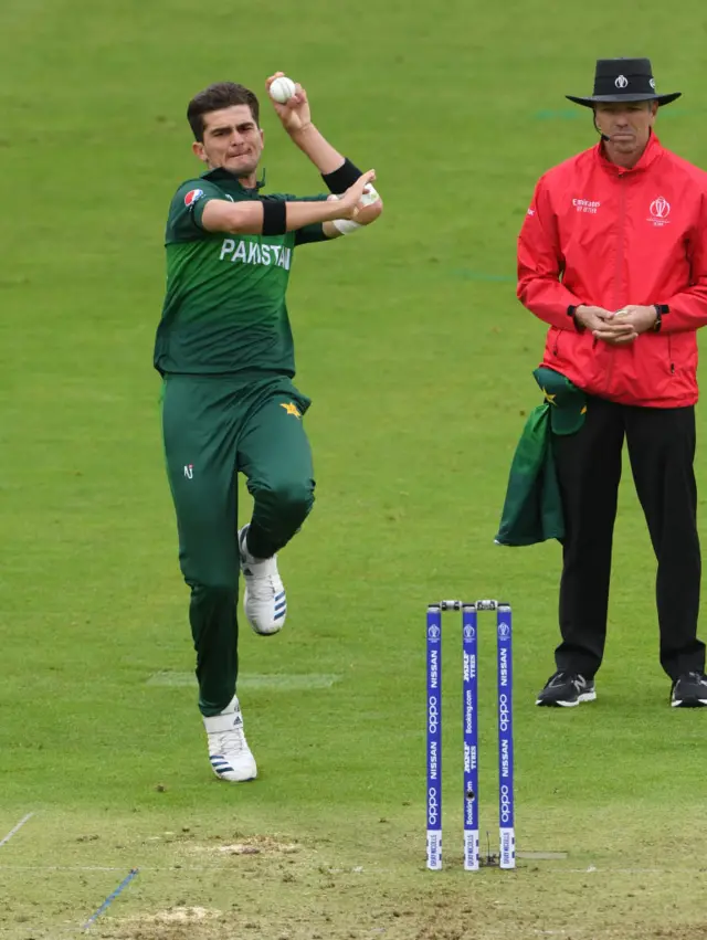 شاہین