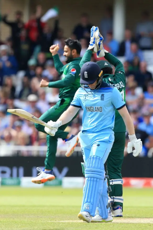 cricket world cup