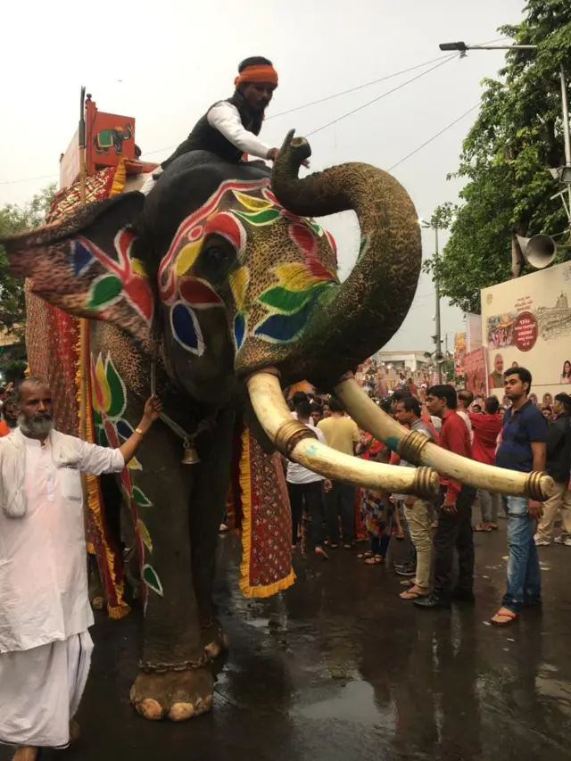 હાથીની તસવીર