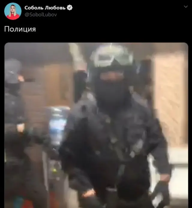 соболь