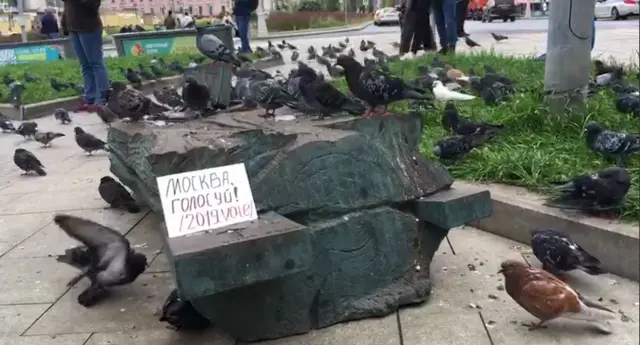 пикет голубей