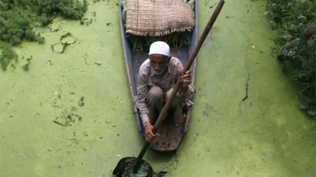 kashmir