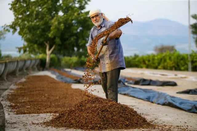 Tarım ve Orman Bakanı Pakdemirli: Son iki yılda tarımsal hasıla yüzde 45 arttı, Avrupa'da lider olduk