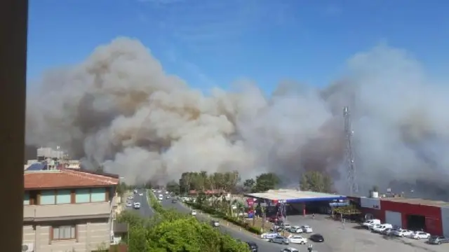 Hatay'da orman yangını