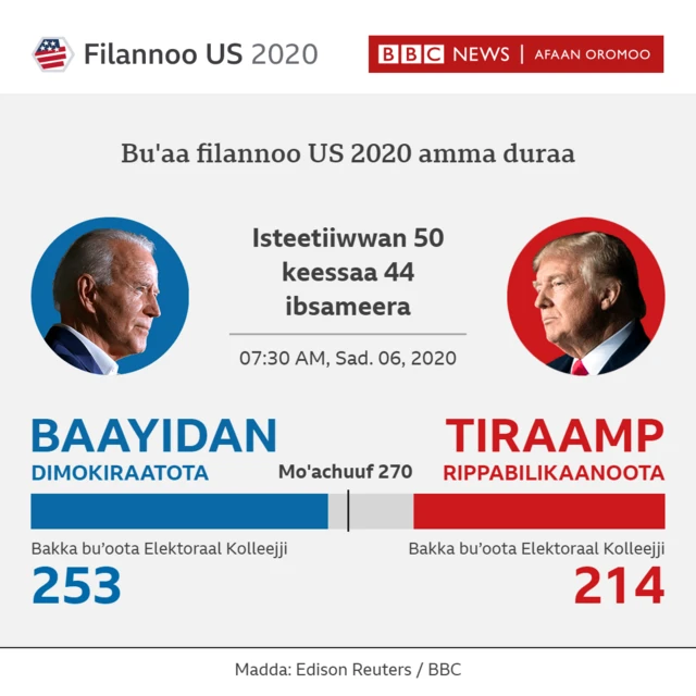 filannoo US 2020