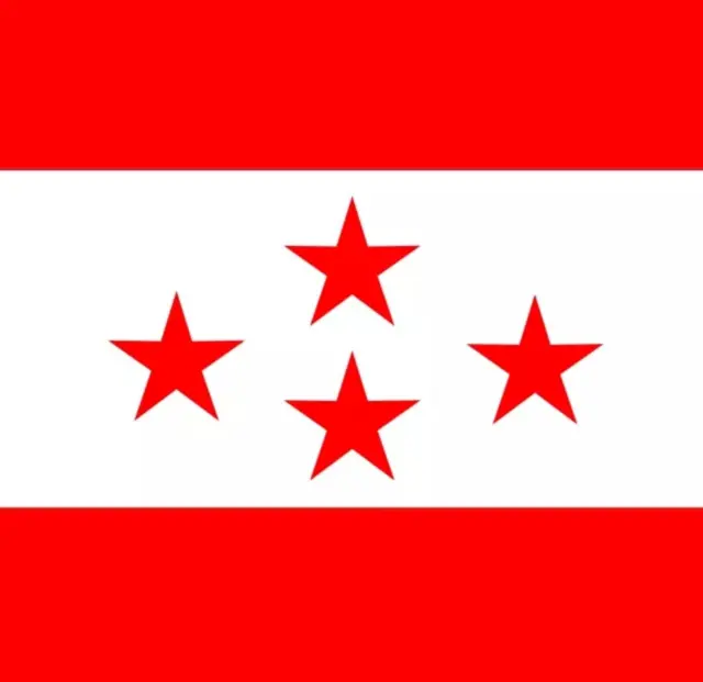 नेपाली काङ्ग्रेस पार्टीको झण्डा