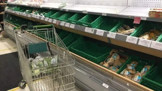 Marketler halka "panikle alışveriş yapmayın" çağrısı yapsa da marketlerde raflar boşaldı
