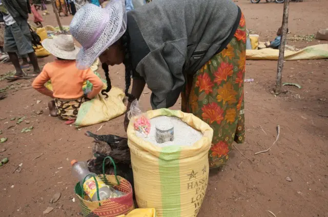 Zao zinalopandwa kwa wingi Madagascar limekauka kwasababu ya ukosefu wa mvua