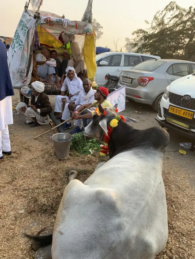 सिंघू बॉर्डर