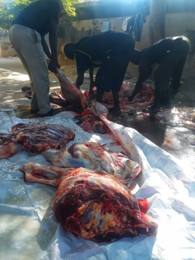 Taron Addu'a a Borno