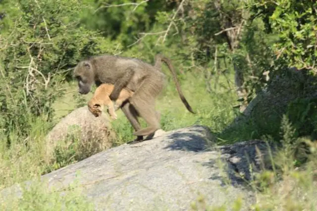 Afirka ta kudu