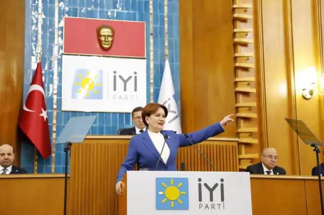 meral aksener