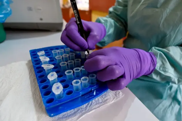 Coronavirus