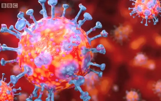 ዋህዮታት ኮሮናቫይረስ