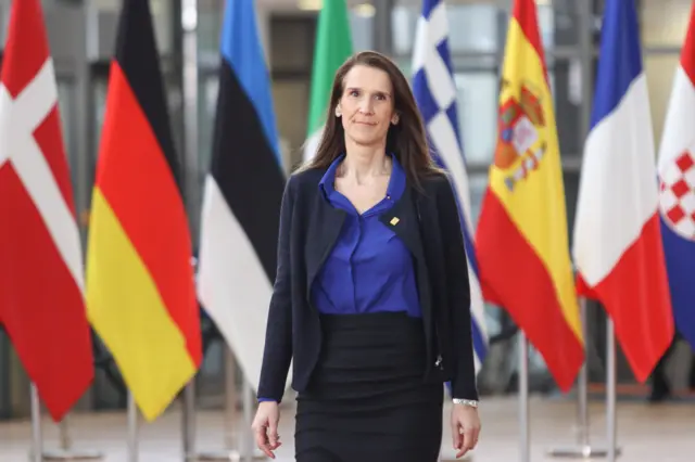 Başbakan Sophie Wilmes