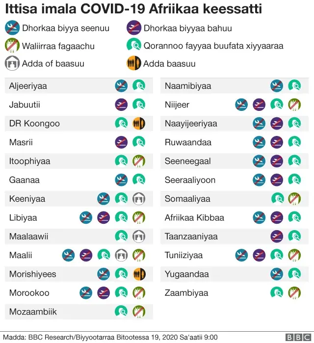 Biyyoota Afrikaa kamtu sababa koronaavaayirasiin imala dhorkan?