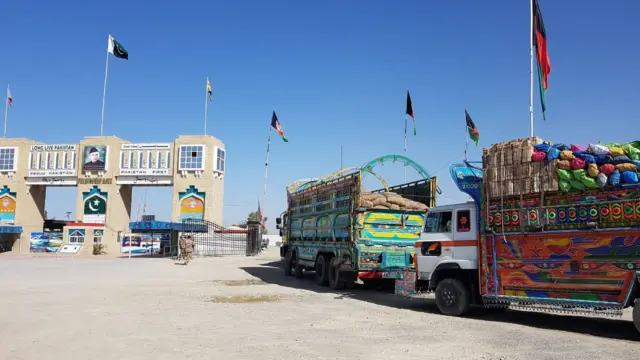 کورونا وائرس، پاکستان، افغانستان